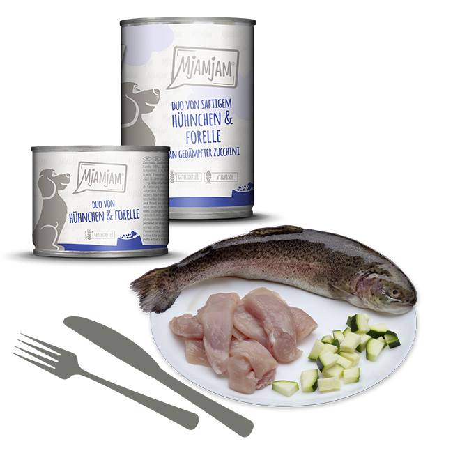 DUO von saftigem Hühnchen & Forelle an gedämpfter Zucchini