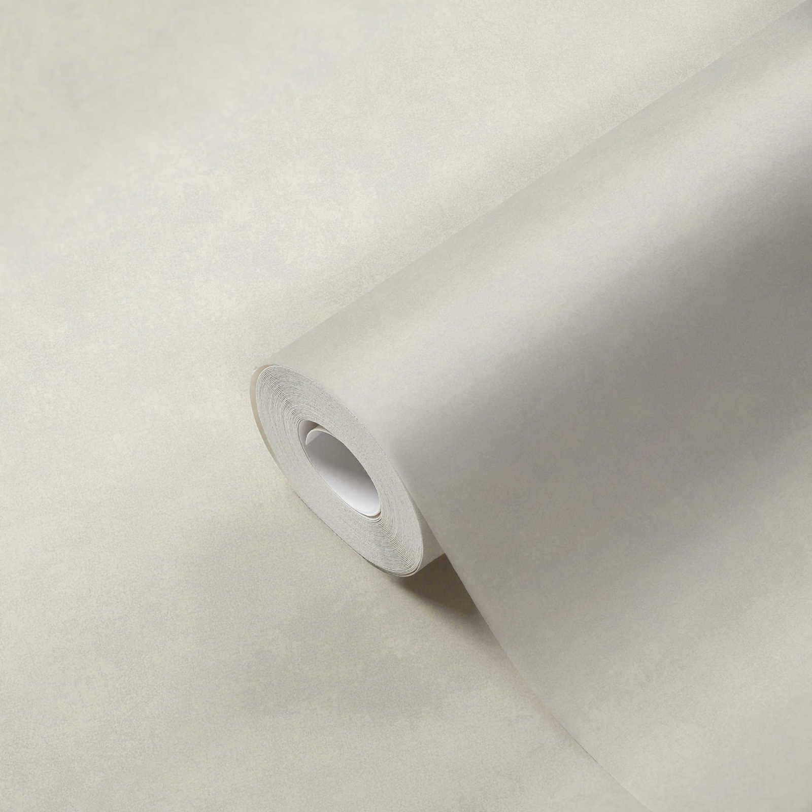Vliestapete NEUE BUDE 2.0 Ed. 2 - creme - 10 Meter