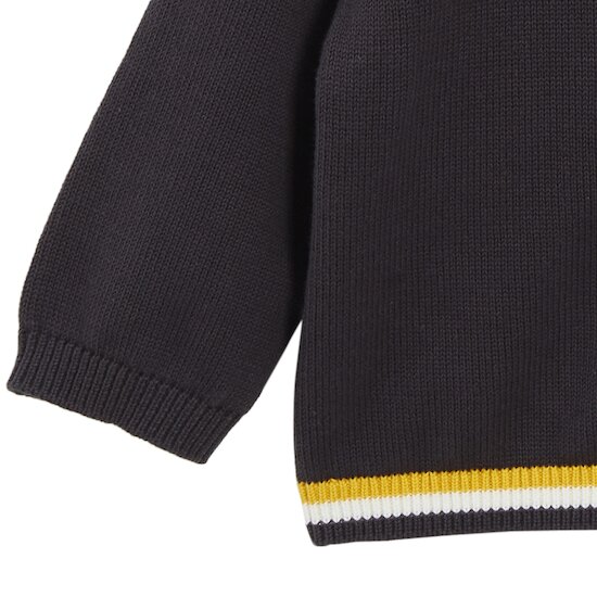 Veste en tricot à capuche   Gris        de               P'tit bisou