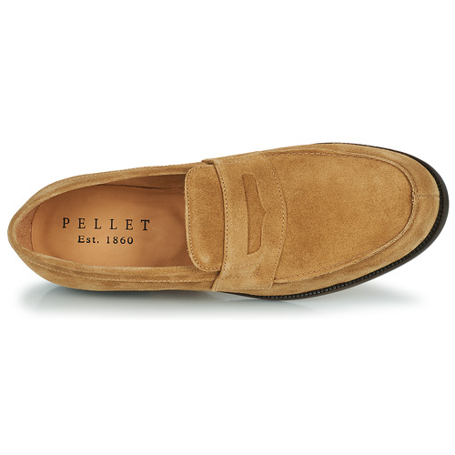 Pellet - COLBERT - VELOURS DATE