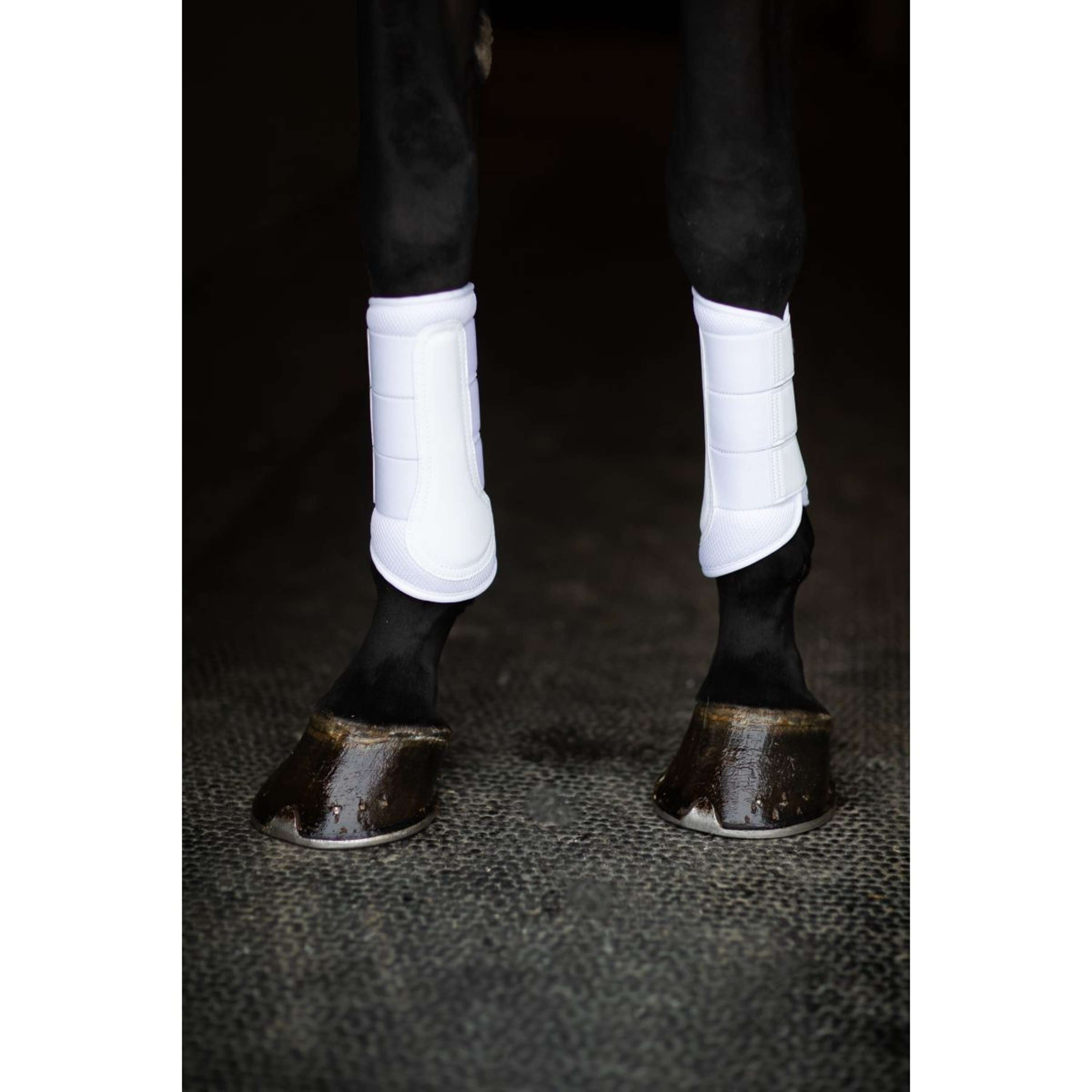 Equestrian Stockholm Beenbeschermers Classic Mesh White Silver