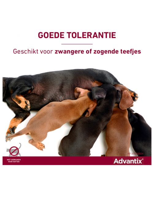 Advantix Spot On 250 2.5 ml - Anti vlooien en tekenmiddel