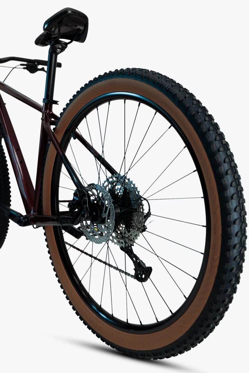 Stoke Tonka 29 Mountainbike 2024