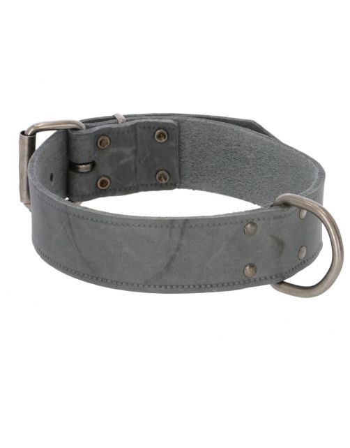 Adori Halsband Vetleder Met Print Grijs - Hondenhalsband