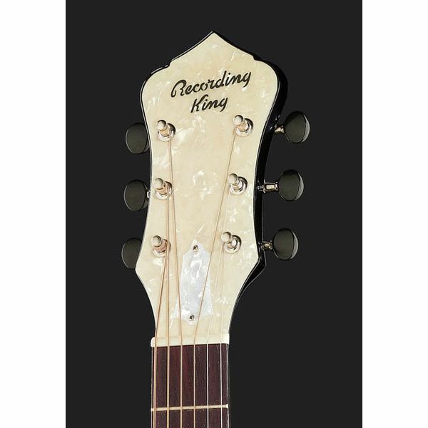 Recording King RR-41E-VS ResonatorRattlesnake