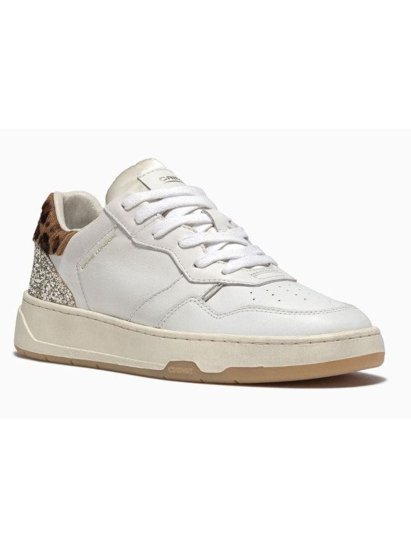 Sneakers TIMELESS LOW TOP Multicolor - Crime London