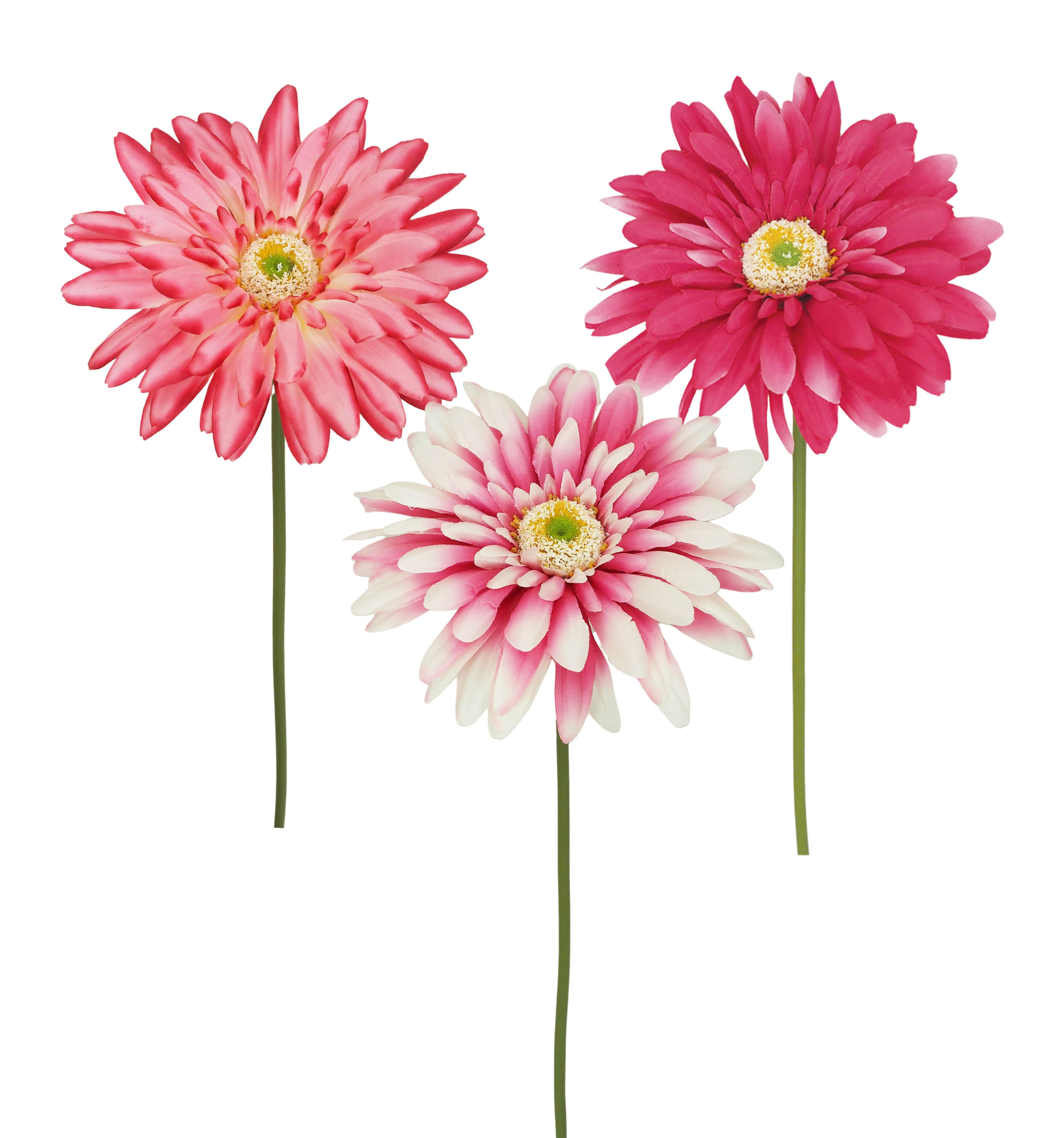 TIGE GERBERA H.60CM ROSE