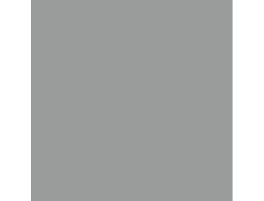 VIDAXL - Abri de jardin avec toit prolongé gris clair 277x110,5x181 c...