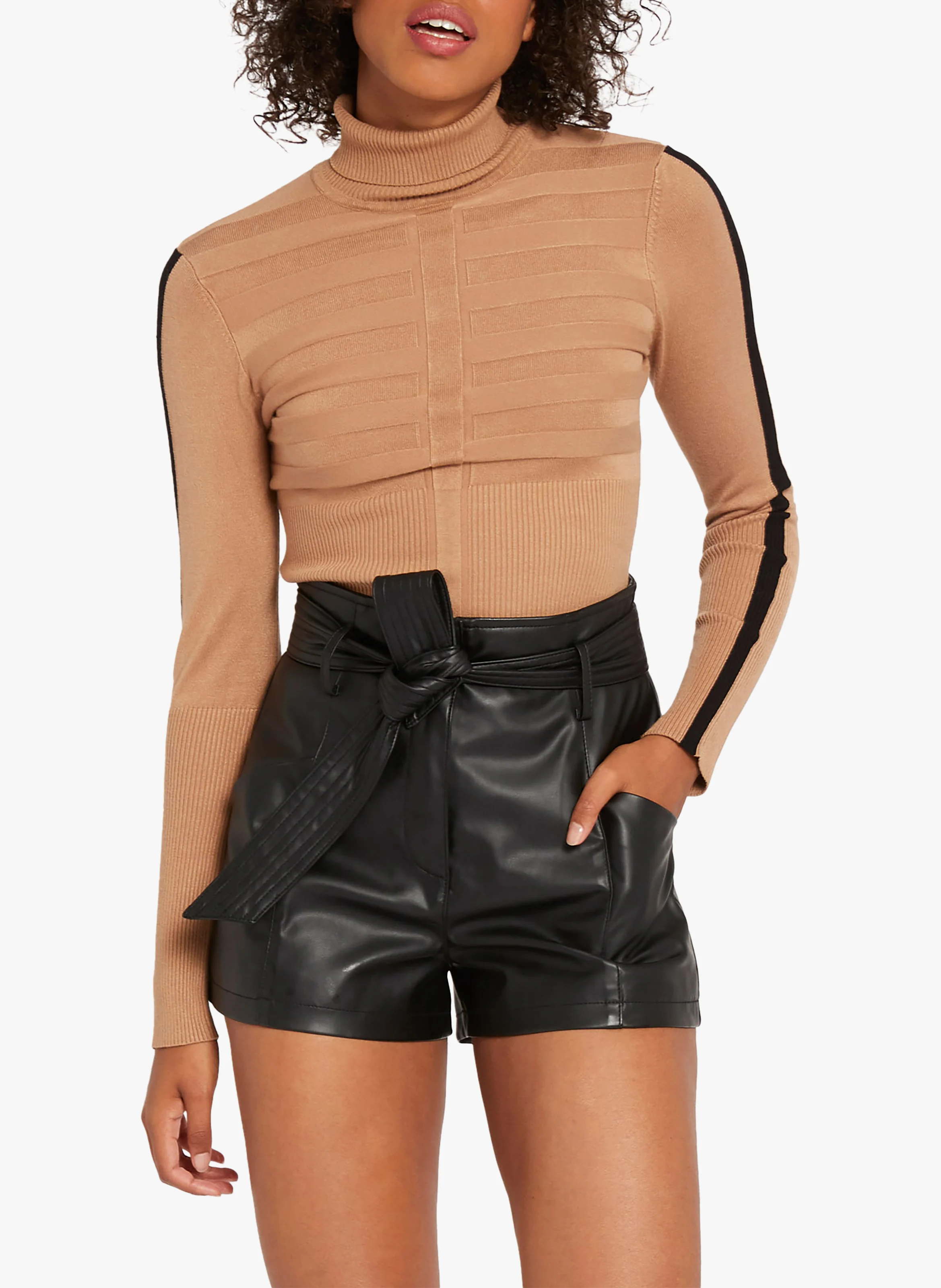 Pull col roulé moulant | Marron