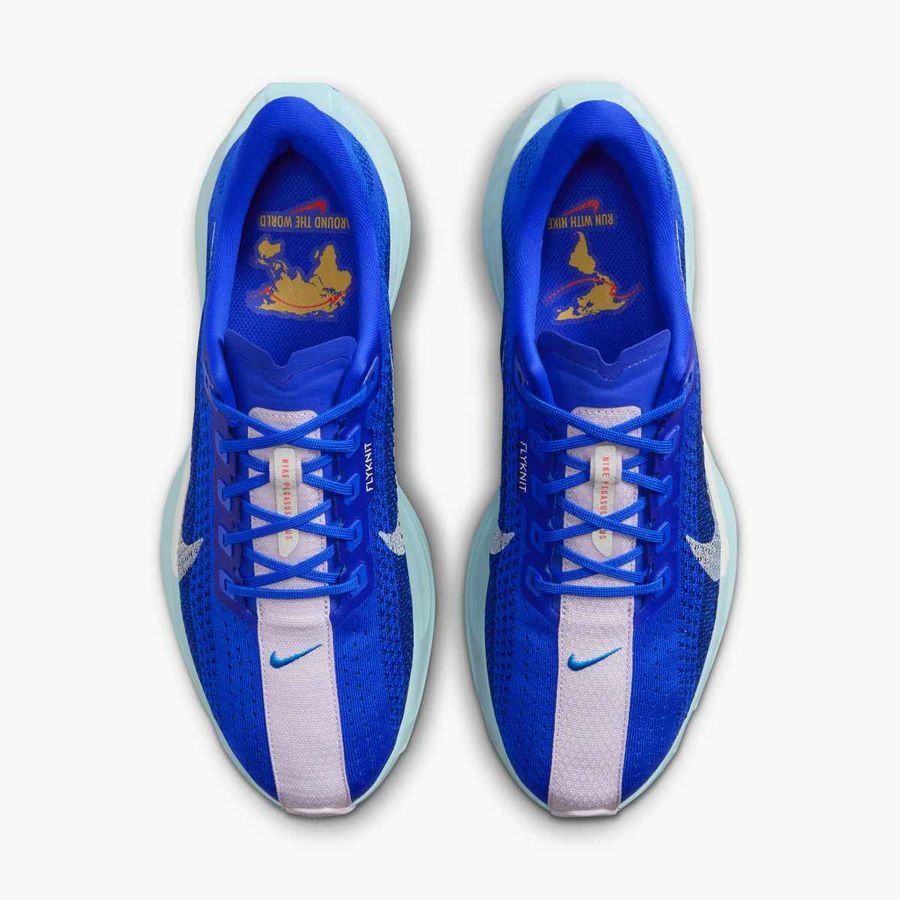 Nike Pegasus Plus