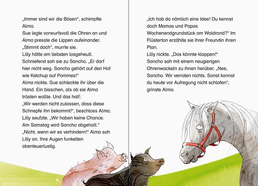 Die Hufeisenbande - Leserabe 3. Klasse - Erstlesebuch für Kinder ab 8 Jahren