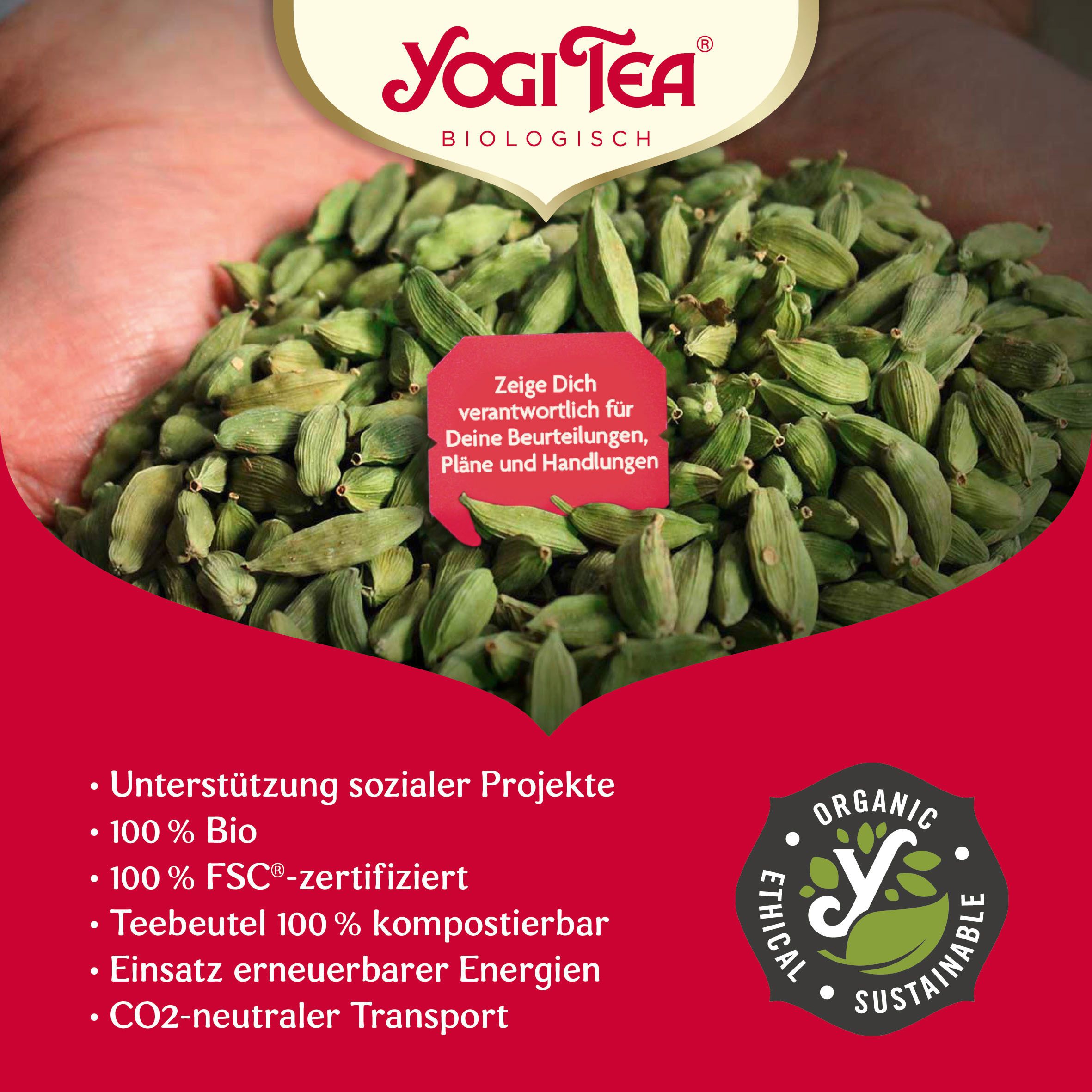 YOGI TEA® Kurkuma Chai, Bio Gewürz- und Kräutertee