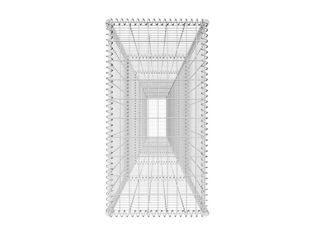 Mur en gabion avec couvercle Acier galvanisé 600x50x100