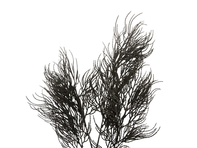 Artificial Plant Asparagus Fern Stem PT3902BK Black
