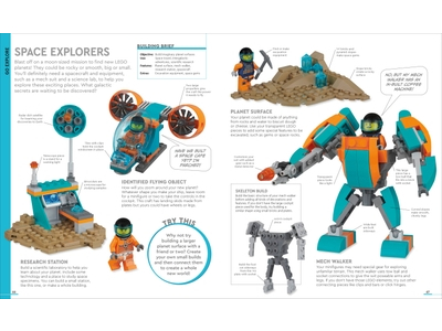LEGO The LEGO Ideas Book New Edition: You Can Build Anything! (5007583)