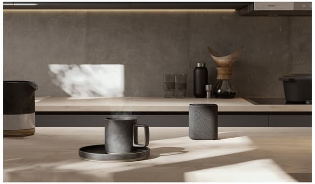 Yamaha True X trådløs højttaler (kulgrå)
