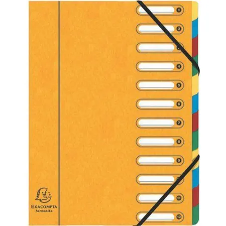 Exacompta 55123E Harmonika Ordnungsmappe, grün