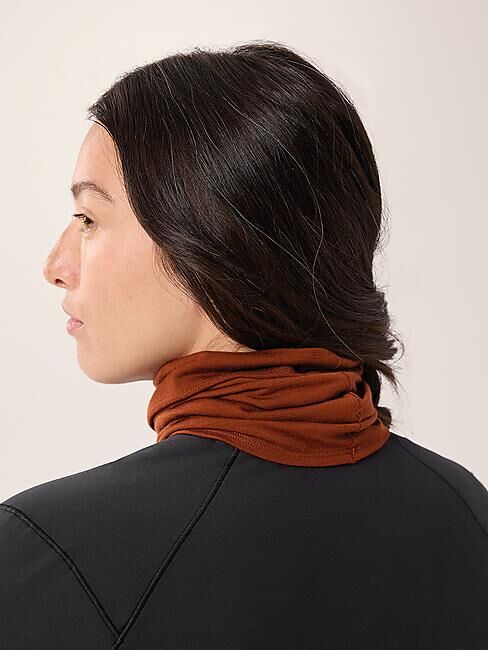 ARCTERYX - TOUR DE COU RHO LTW WOOL NECK GAITER