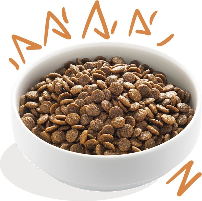 Edgard & Cooper hondenvoer verse scharrelkip adult 12 kg