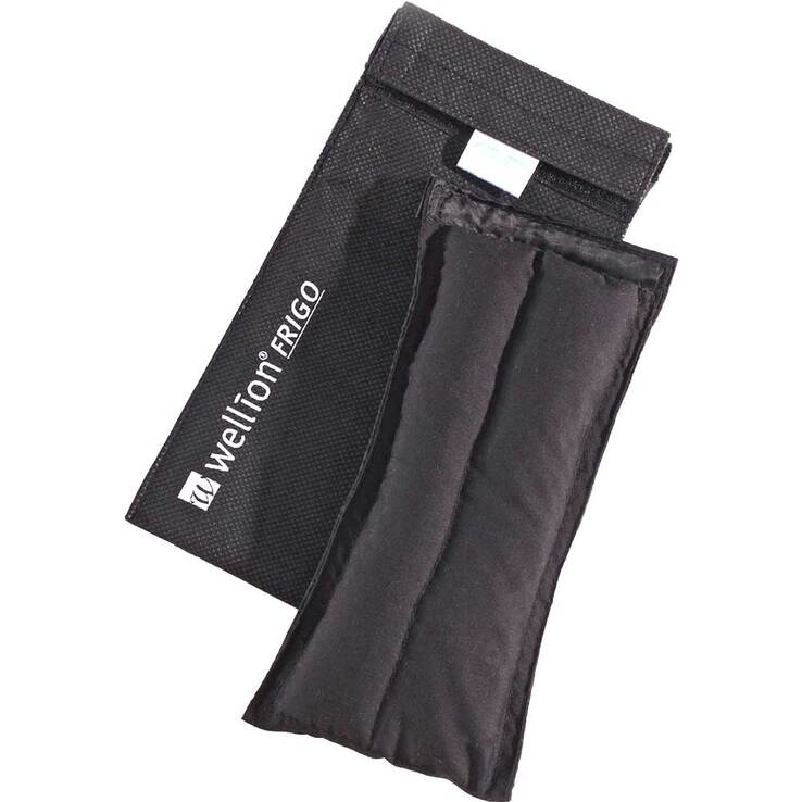 Wellion Frigo L med cooler bag, 1 St