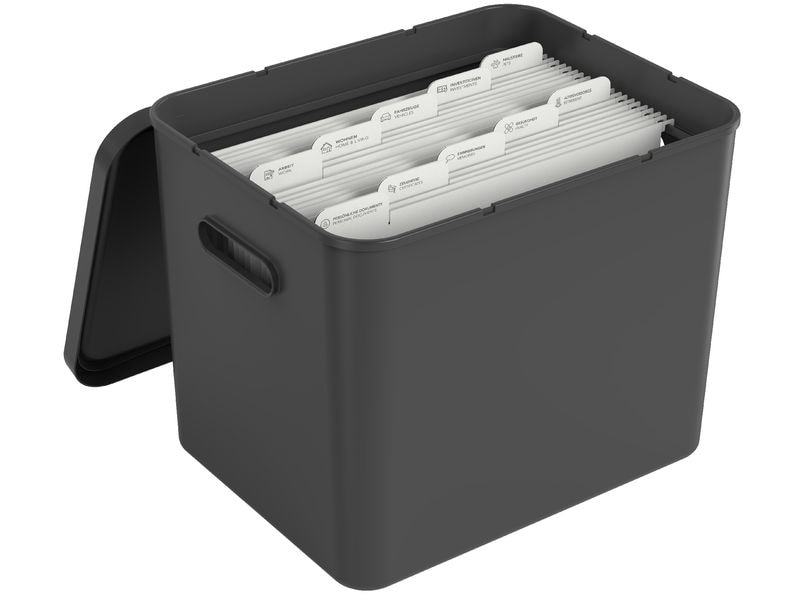 Rotho Aufbewahrungsbox MY PAPER Basic Schwarz Archivbox