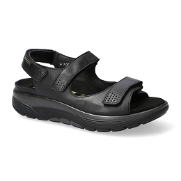 norine  SOFTY 1200  BLACK