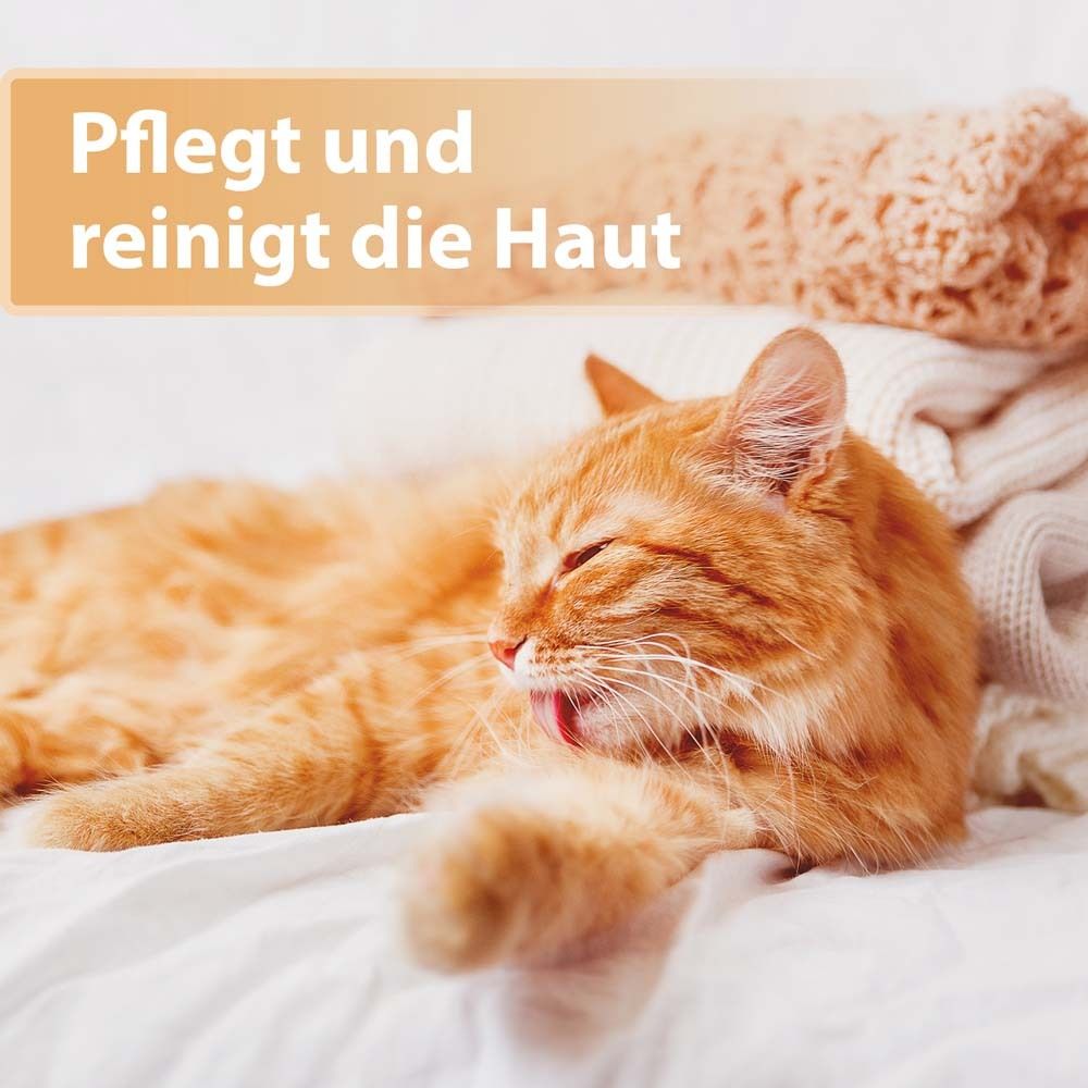 Felisept® Felisept Wundspray für Katzen