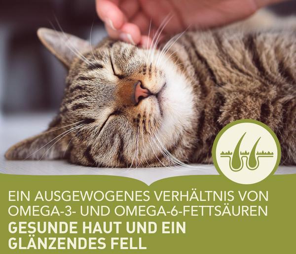 ACANA Trockenfutter für Katzen Adult Cat
