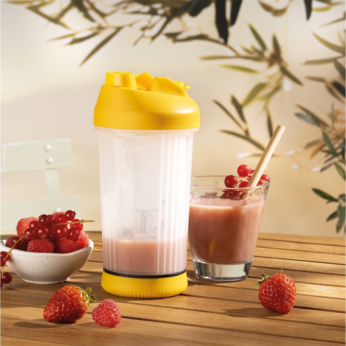 Mixeur à fruits