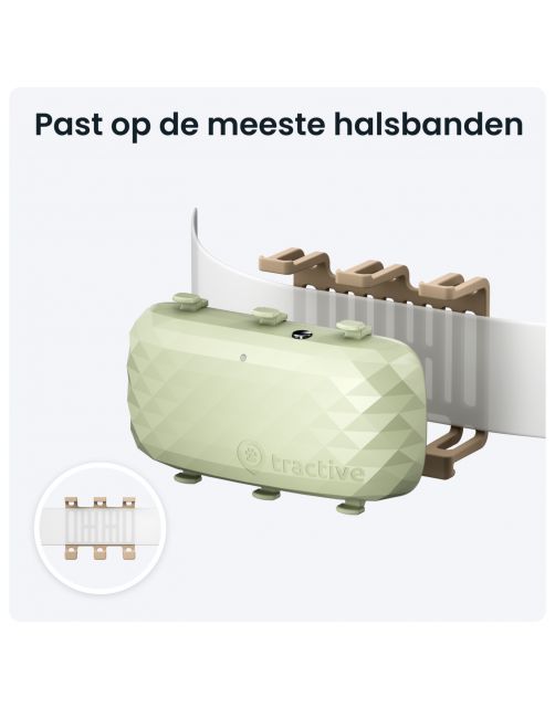 Tractive Gps Tracker Dog Xl - Hondenlocatievinder - 89x51x24 mm Groen Geschikt Voor Honden > 22 Kg