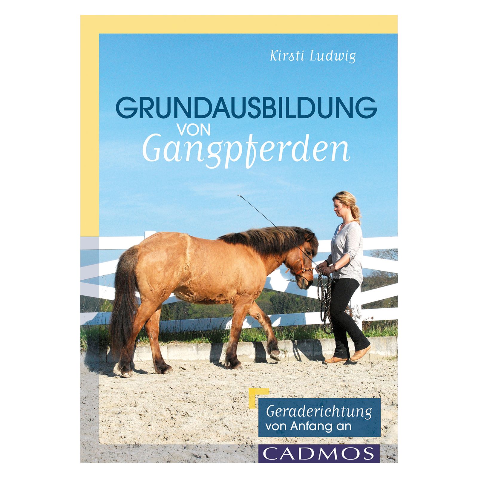 Grundausbildung von Gangpferden