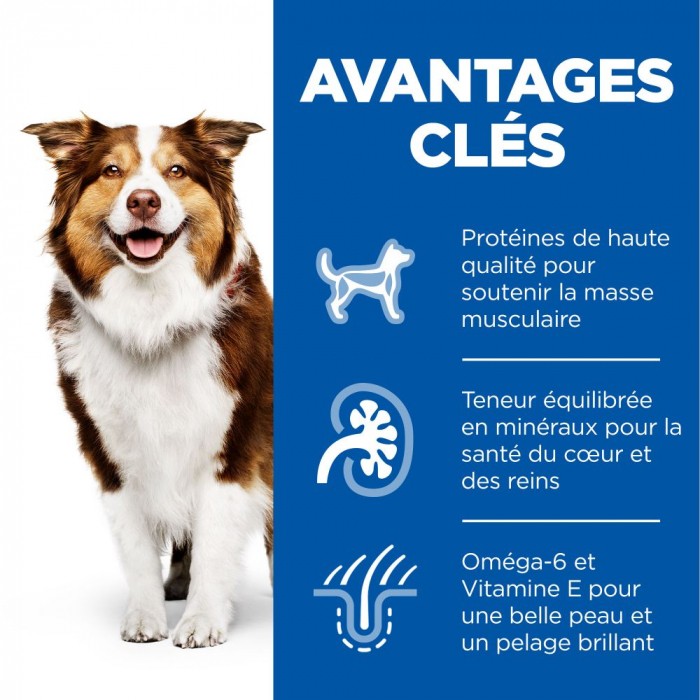 HILL'S Science Plan All Breed Mature Adult 7+ en Boîtes au Poulet - Patée pour chien