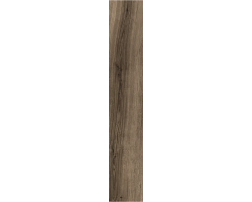 Porseleinen steengoed wand- en vloertegel Oliver Braun 20 x 119,5 x 1 cm mat gerectificeerd