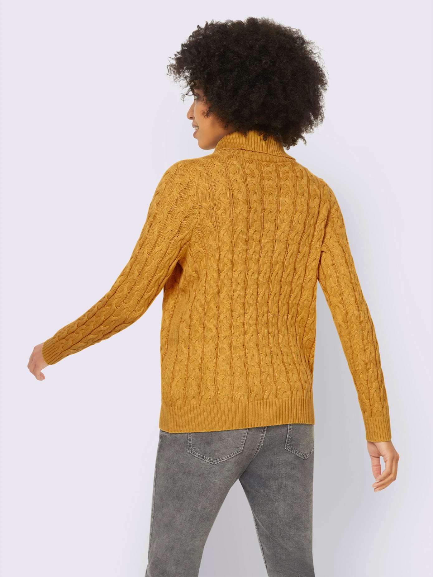 Pull col roulé motif torsadé classique