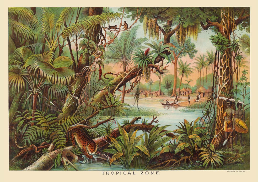 Tropische Zone