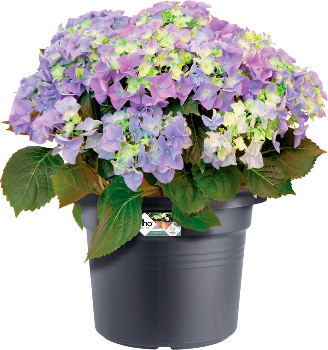 Elho bloempot Green Basics zwart D 38,8 H 30 cm