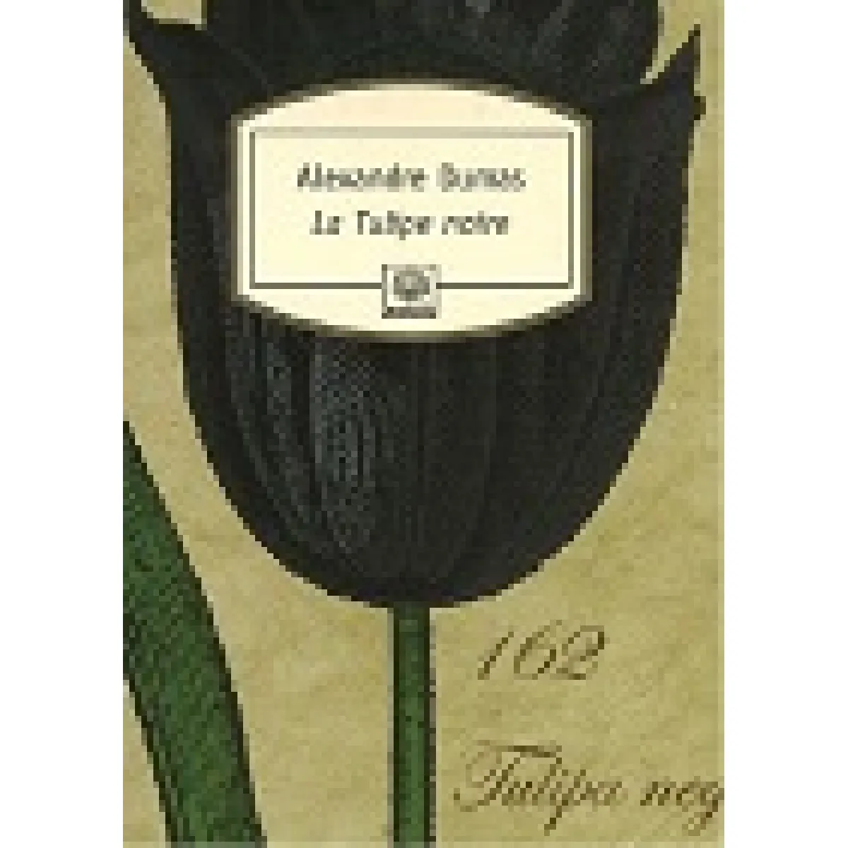 La tulipe noire · Occasion