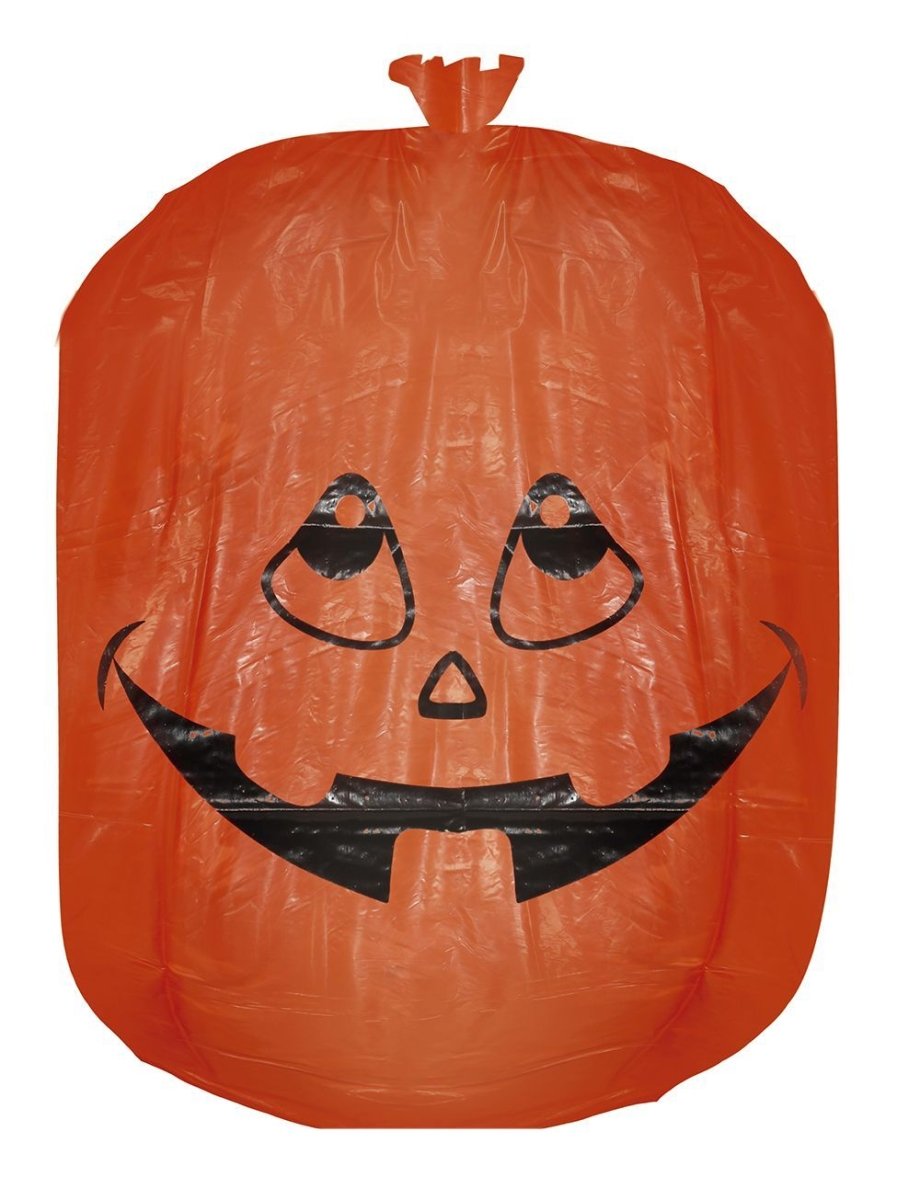Halloween Zak Pompoen 3st