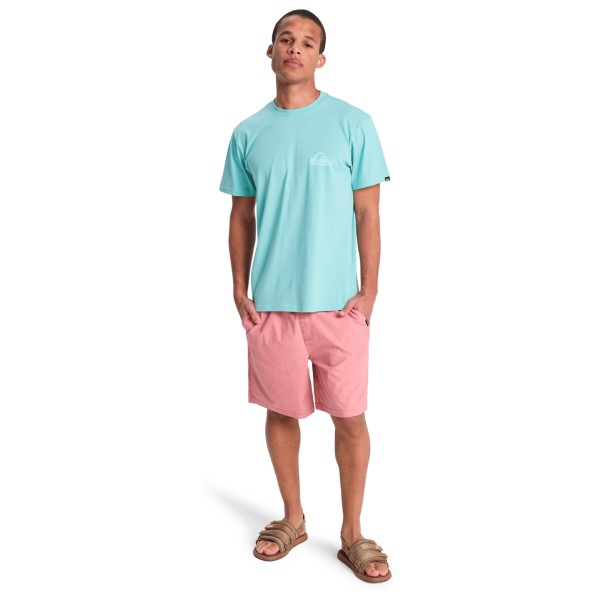Quiksilver - EV Mini Logo S/S - T-shirt
