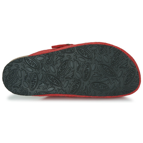 Plakton - BLOGG Rojo