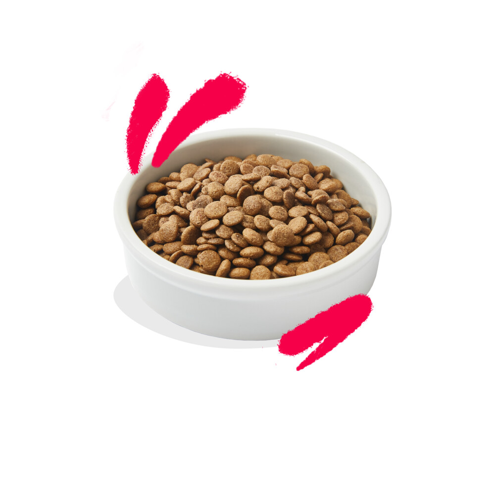 Edgard & Cooper Kattenvoer Senior Kip - Kalkoen2 kg