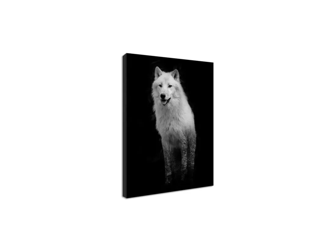 Tableau Loup blanc - 50 x 70 cm