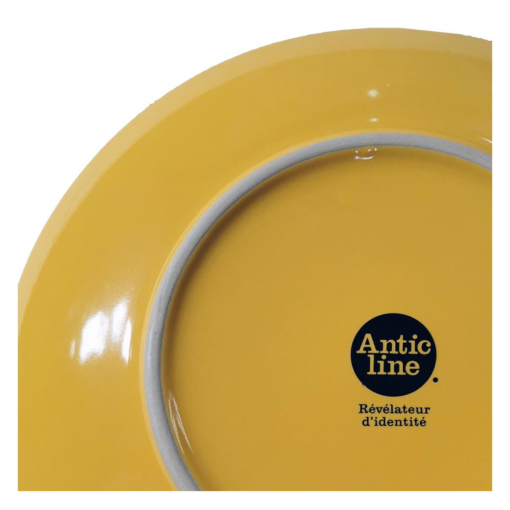 Assiettes colorées brasserie bistrot (lot de 12)