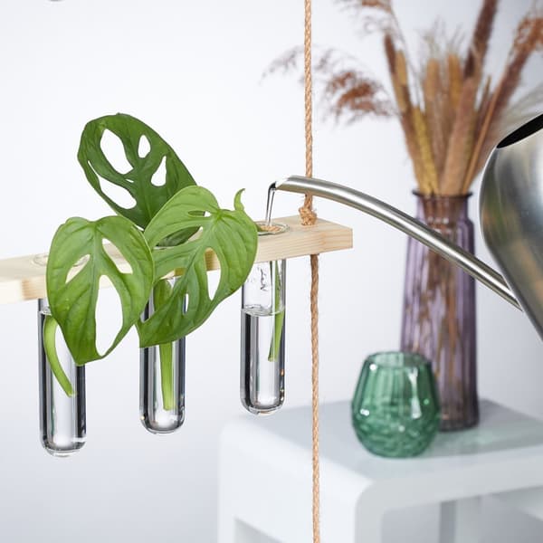 Forplantningsstasjon for hengende planter