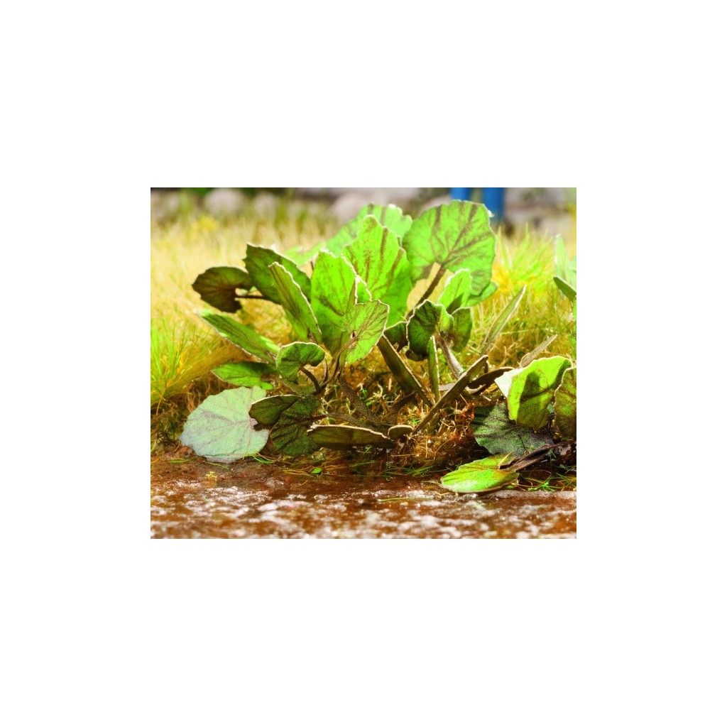 Ziterdes: Laser-Cut minis Butterbur (18pcs.)