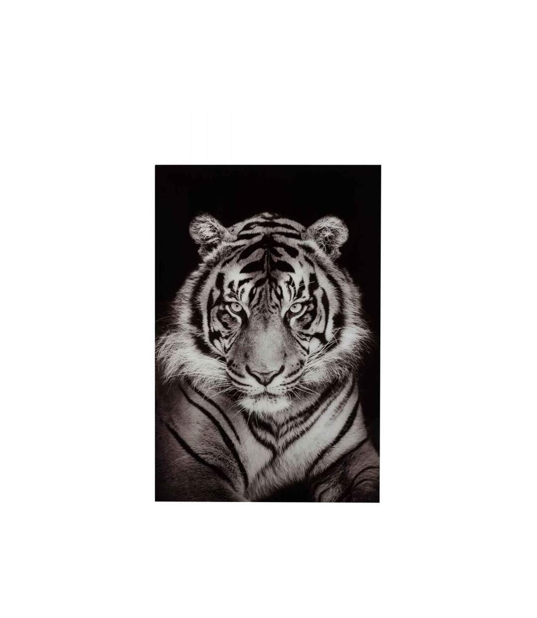 Paris Prix - Cadre Déco tigre 100x150cm Noir & Blanc