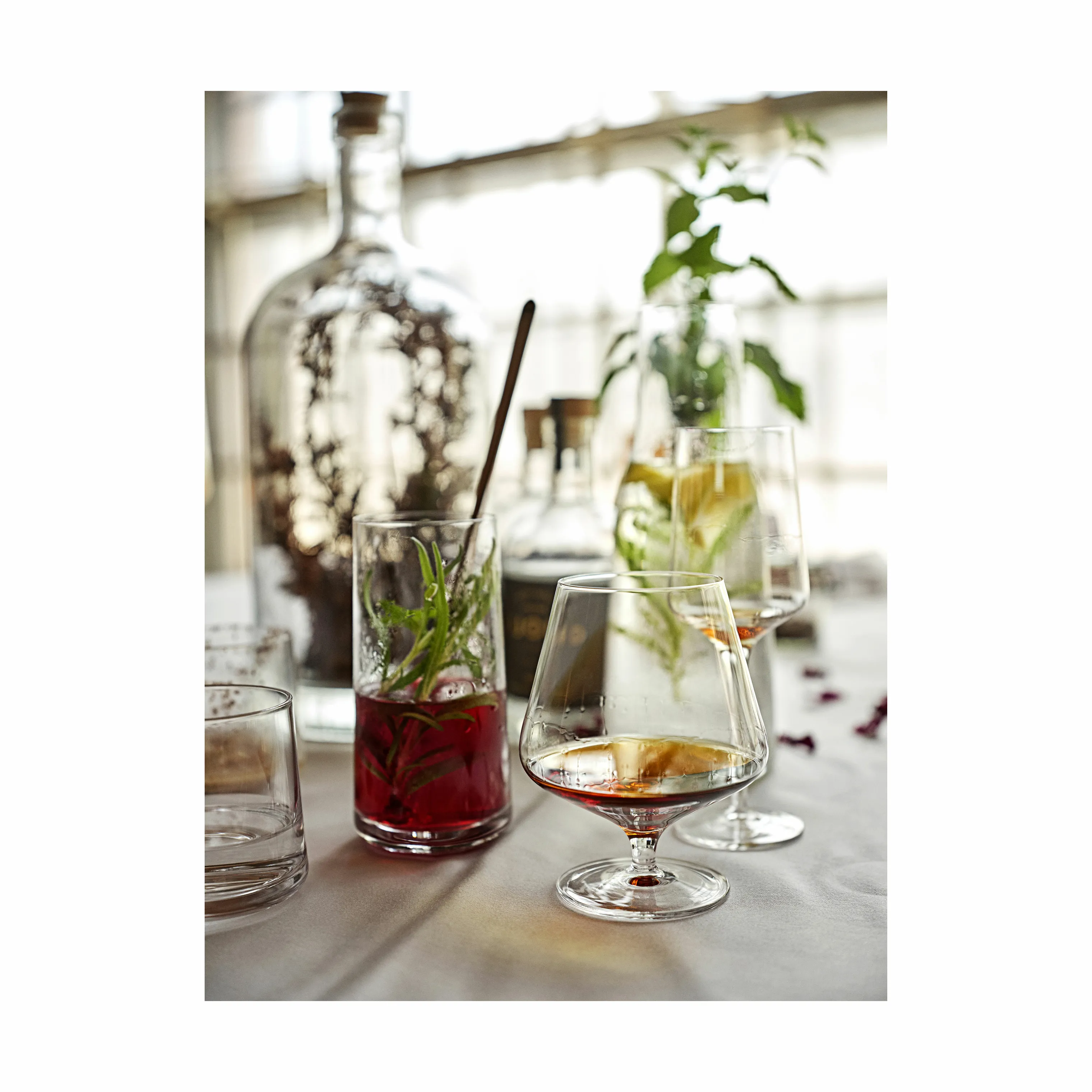 Zone Rocks Cognacglas - 2 stk.