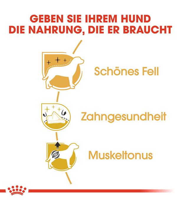 ROYAL CANIN® Trockenfutter für Hunde Poodle