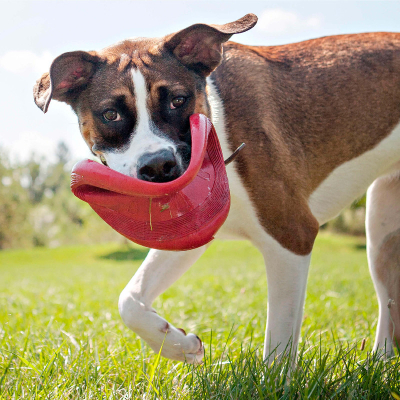KONG Flyer Large rot 23cm