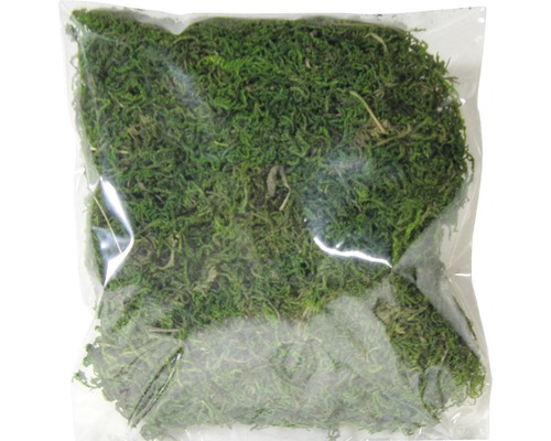 Decoratief mos 30 g groen